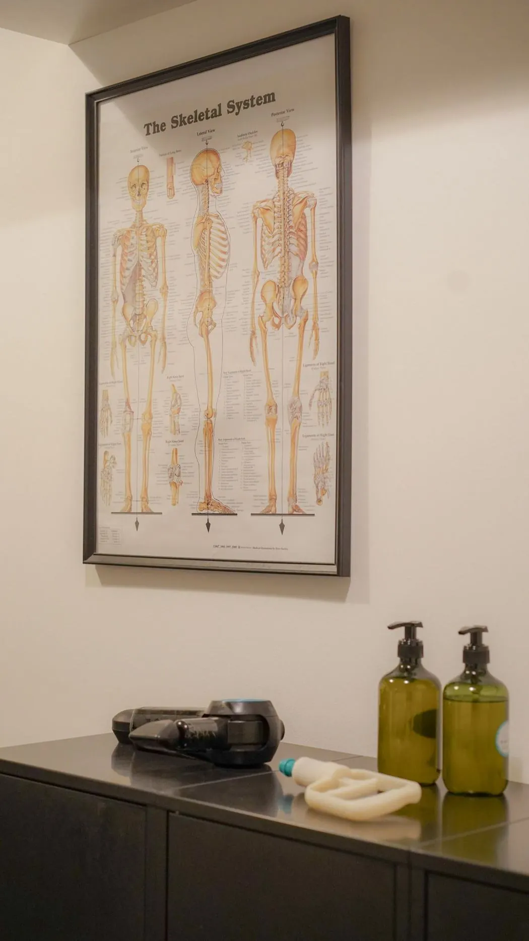 Anatomy charts and treatment tools inside the Amor Therapies clinic